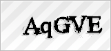 CAPTCHA security code