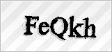 CAPTCHA security code
