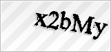 CAPTCHA security code