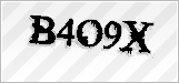 CAPTCHA security code