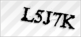 CAPTCHA security code