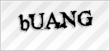 CAPTCHA security code