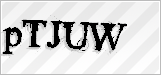 CAPTCHA security code