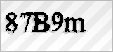 CAPTCHA security code