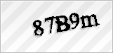 CAPTCHA security code